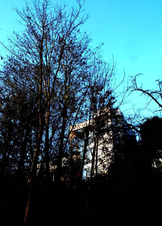 Ferienwohnung Im Turm Bellevue Mit 3 Schlafzimmern Заксенхайм Экстерьер фото